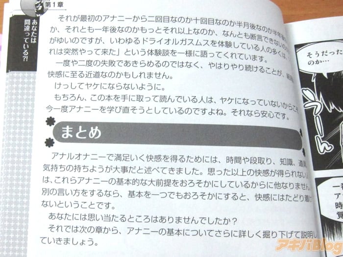 ひとりでできるもん オトコのコのためのアナニー講座 りべんじ編 - 書籍